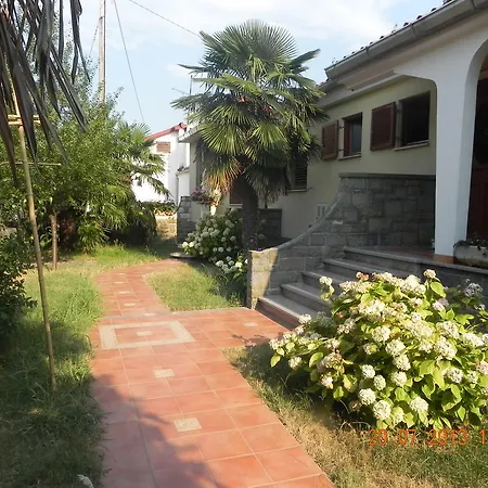 And Roza بورتوروز